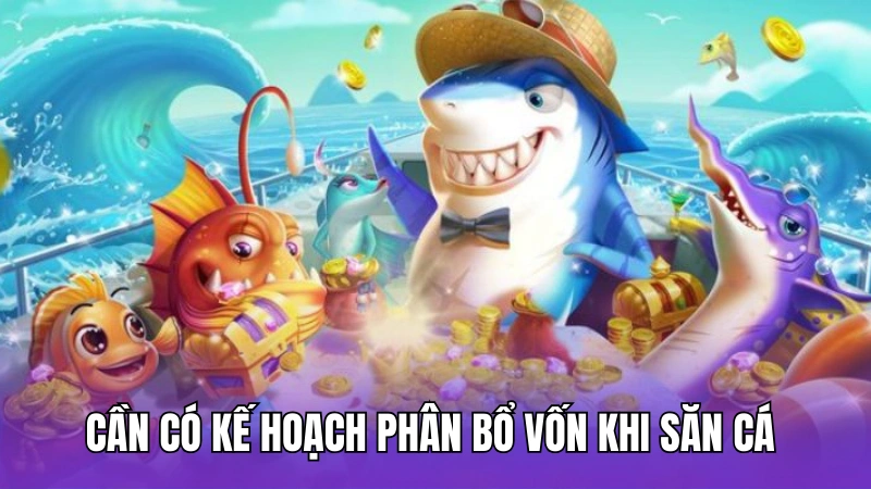 Cần có kế hoạch phân bổ vốn khi săn cá