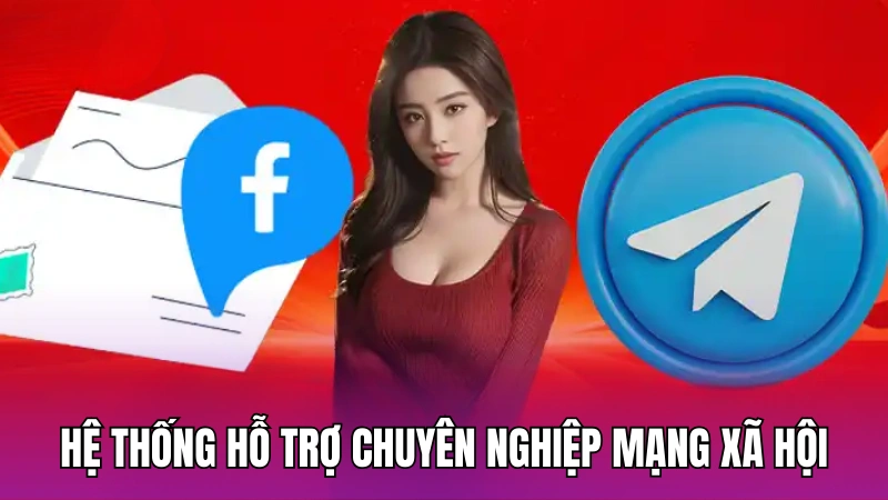 Hệ thống hỗ trợ chuyên nghiệp mạng xã hội